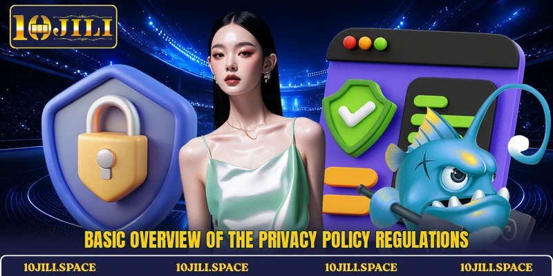 Basic overview of the privacy policy regulations