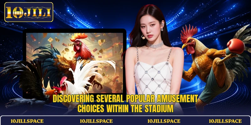 Discovering several popular amusement choices within the stadium