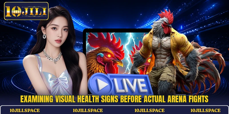 Examining visual health signs before actual arena fights