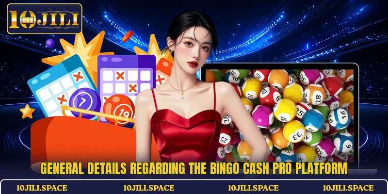General details regarding the Bingo Cash Pro platform