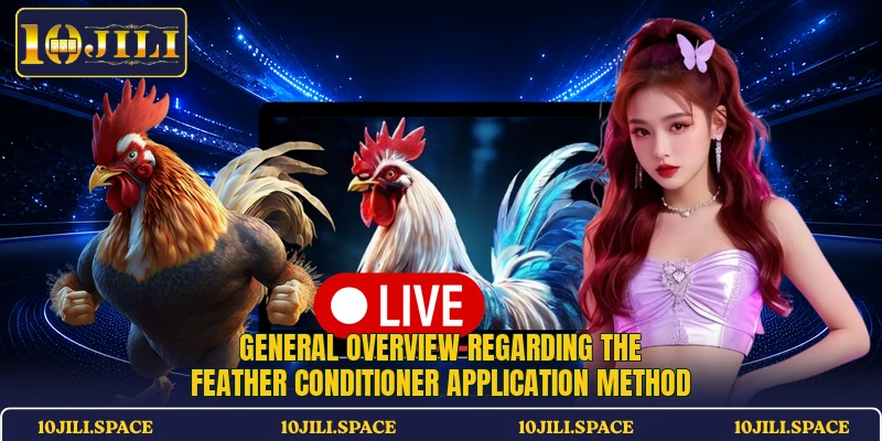 General overview regarding the Feather conditioner application method