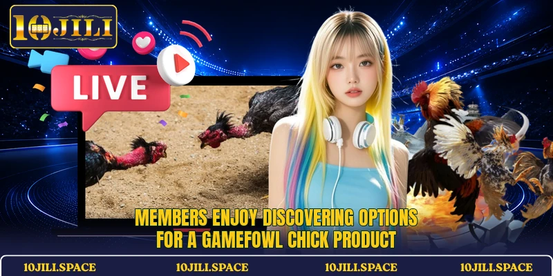 Members enjoy discovering options for a gamefowl chick product